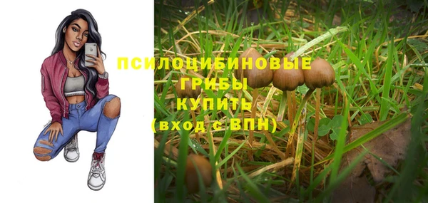 первитин Заволжск