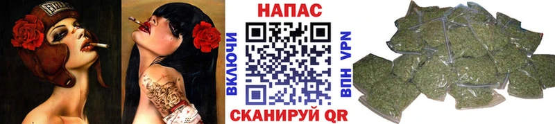 Купить где  Чудово  Бошки марихуана индика 